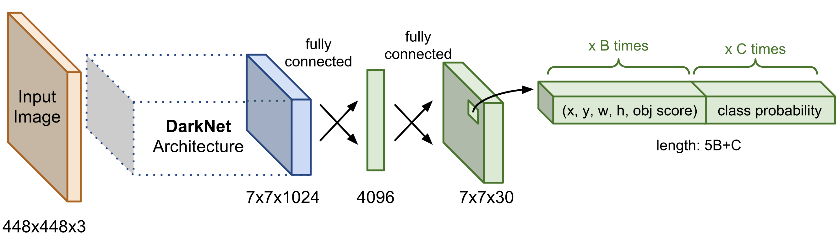 YOLO model architecture