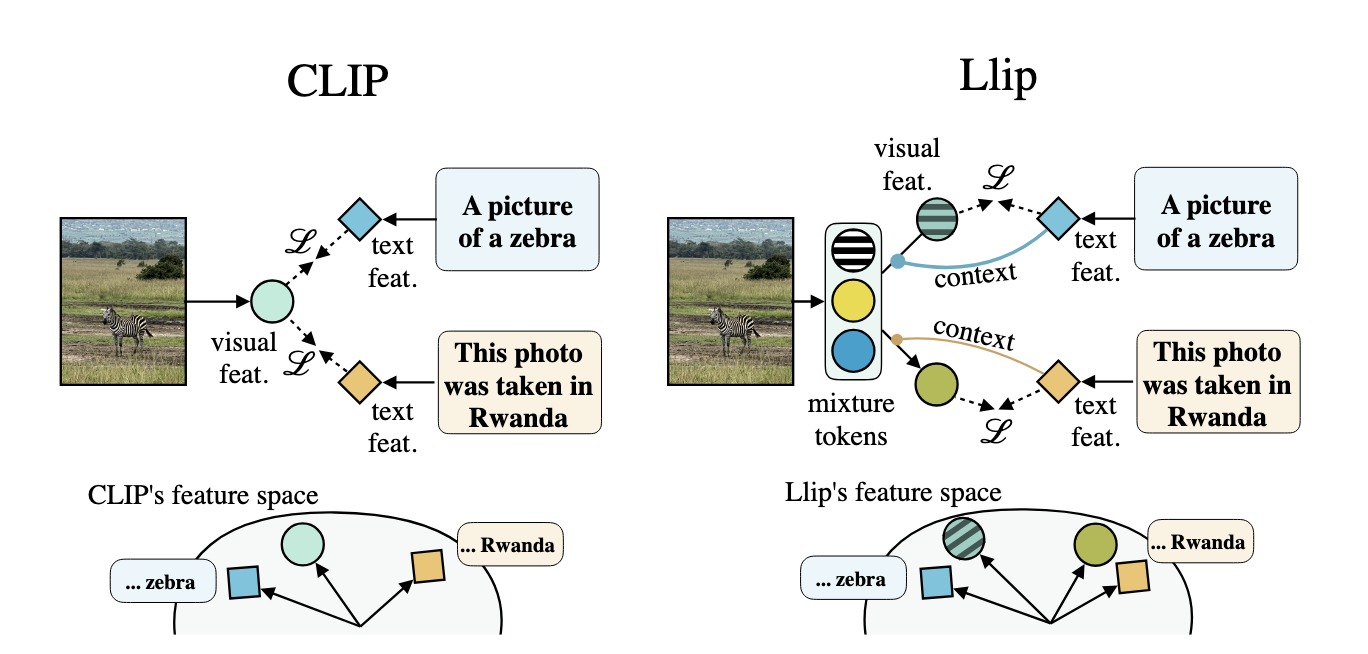 CLIP vs. Llip