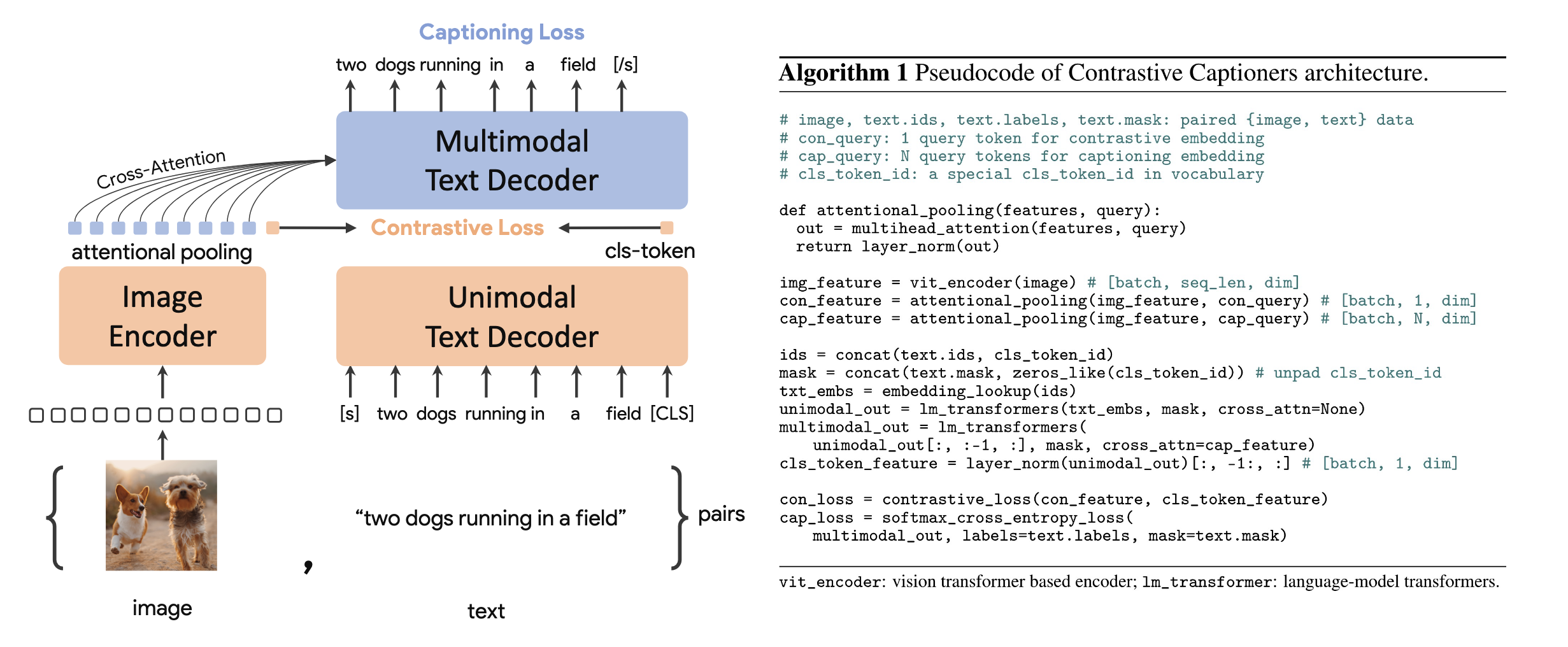 CoCa model architecture, training objectives and pseudocode