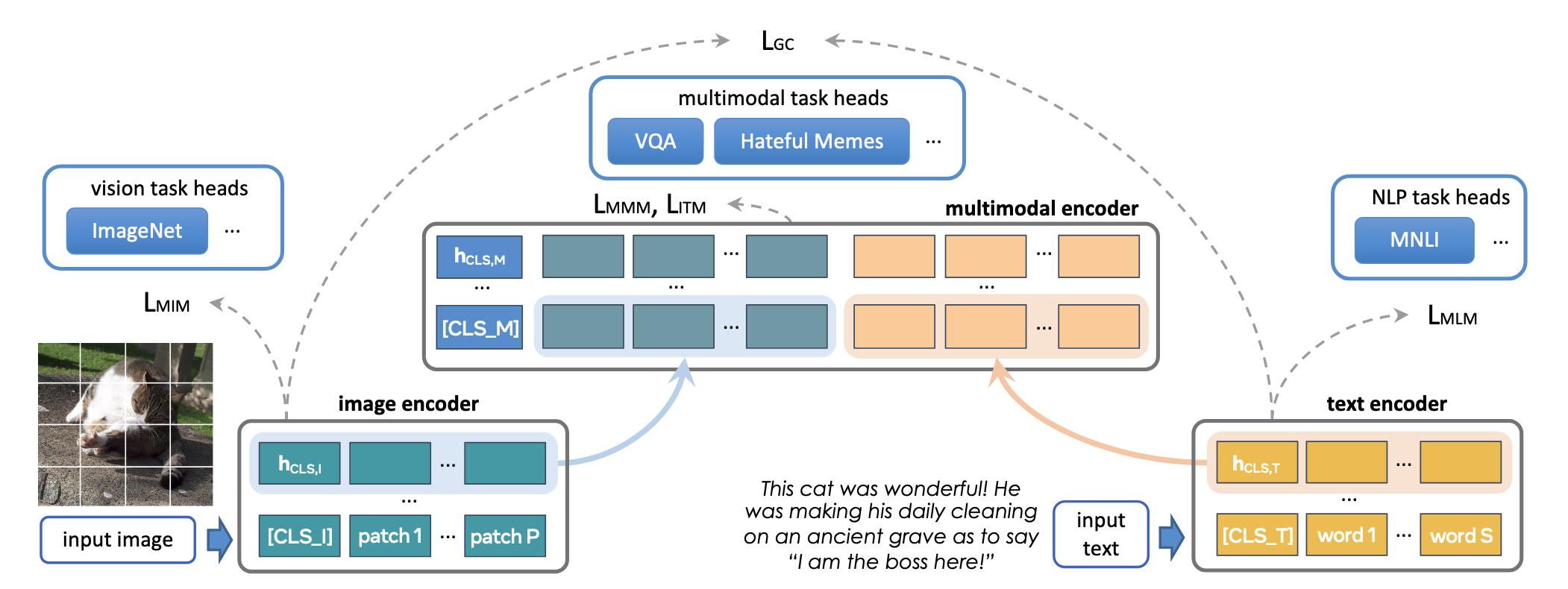 Overview of the FLAVA model architecture